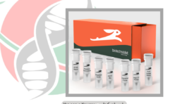 کیت سنتز cDNA شرکت یاس ژن