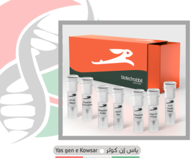 کیت سنتز cDNA شرکت یاس ژن