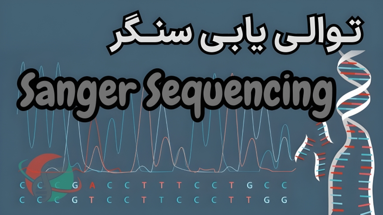 تعیین توالی سنگر