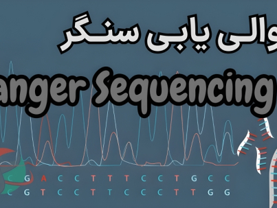 تعیین توالی سنگر