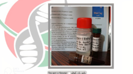 کیت انکسین v