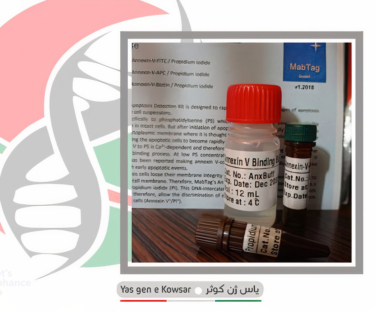 کیت انکسین v