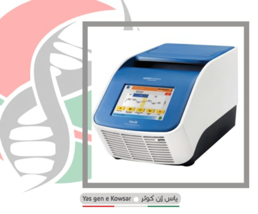 z2l6eb2aaoqdcezhx1fsuUntitled design (1)SREZ-min