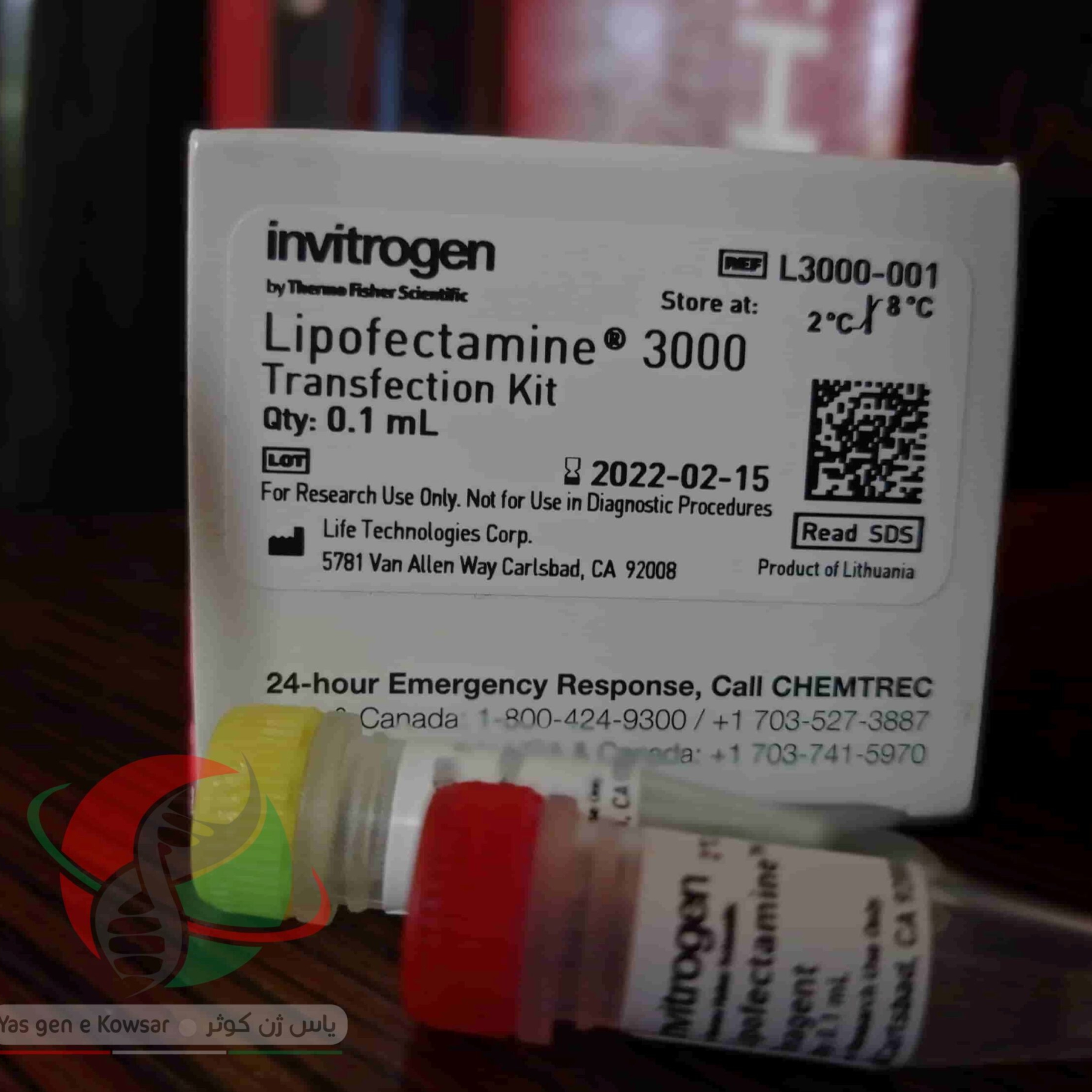 Lipofectamine 3000 Vs 2000: The Ultimate Transfection Showdown - 8ta0fdg