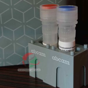 نمایندگی کمپانی Abcam
