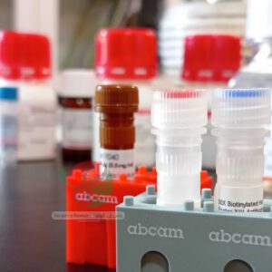 نمایندگی کمپانی Abcam