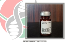 آفلا توکسین محصولات سیگما