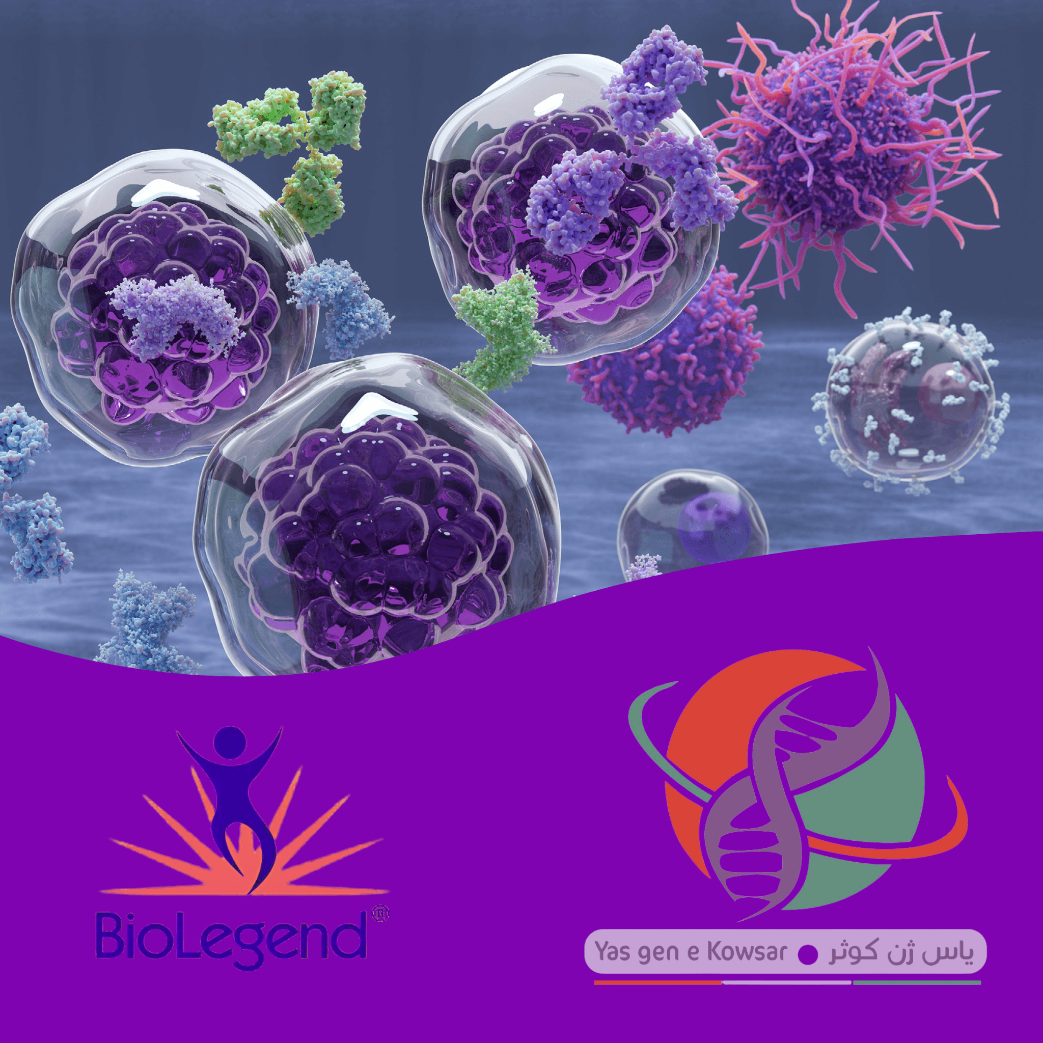 شرکت یاس ژن کوثر نمایندگی رسمی کمپانی کمپانی Biolegend