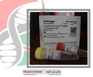 لیپوفکتامین 3000 thermo fisher