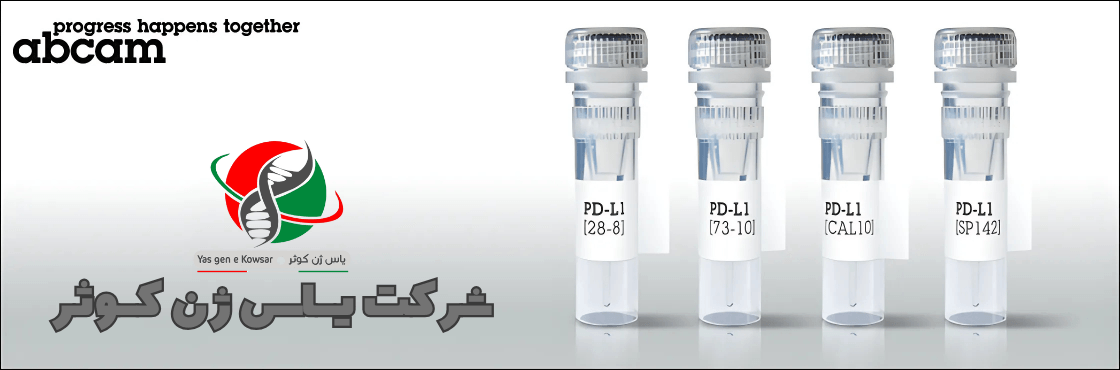 شرکت یاس ژن نمایندگی رسمی شرکت abcam