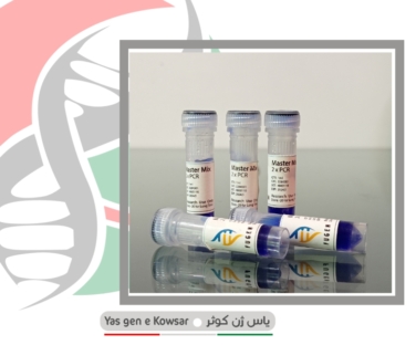 مستر میکس پی سی آر رنگی