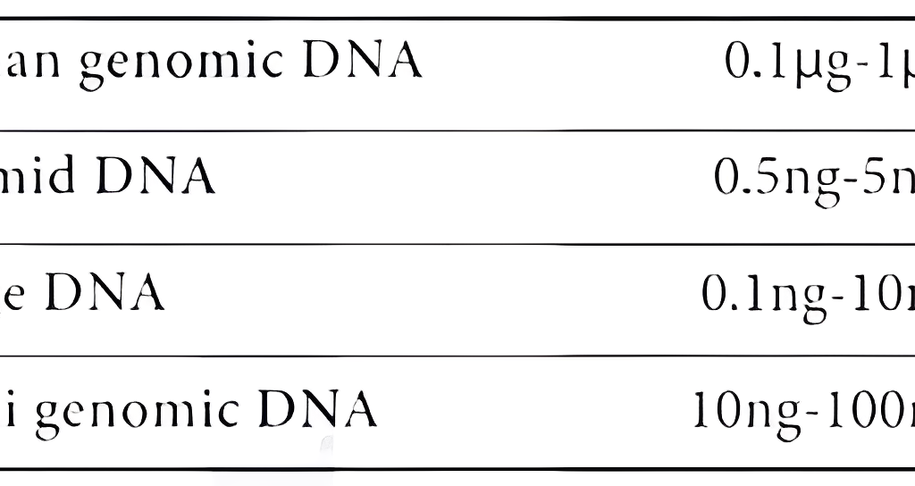 مستر میکس pcr