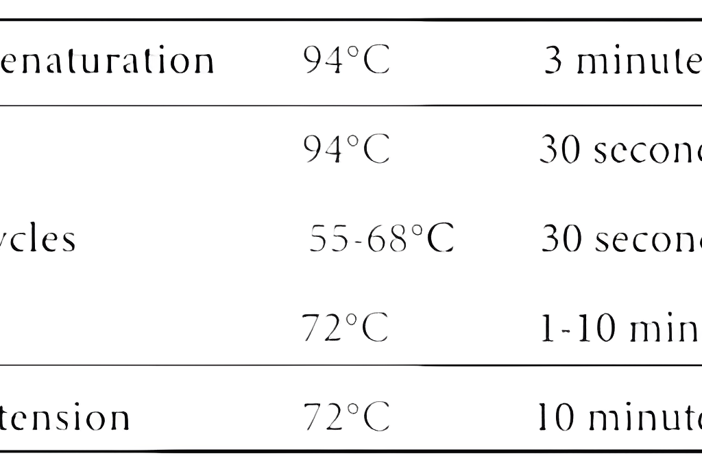 اطلاعات مستر میکس pcr