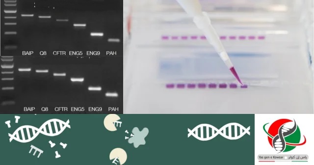 مستر میکس pcr