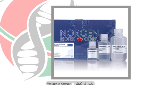 کیت استخراج Cell Free DNA از کمپانی norgene