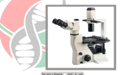 میکروسکوپ اینورت بیولوژی شرکت یاس ژن