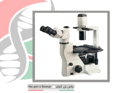 میکروسکوپ اینورت بیولوژی شرکت یاس ژن