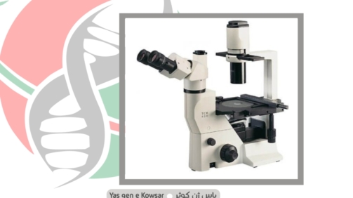میکروسکوپ اینورت بیولوژی شرکت یاس ژن