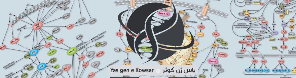 شرکت یاس ژن نماینده کمپانی Cell Signaling در ایران