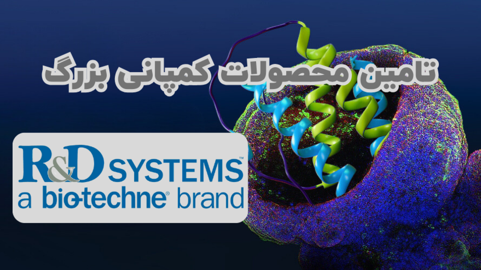 شرکت یاس ژن کوثر نماینده R&D systems در ایران