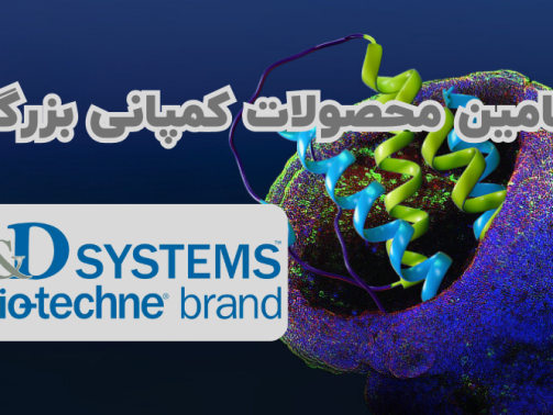 شرکت یاس ژن کوثر نماینده R&D systems در ایران