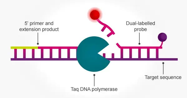 دستگاه RealTime PCR