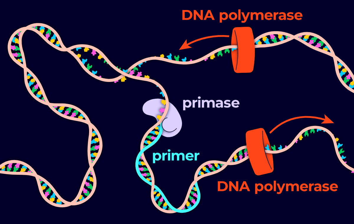 دستگاه RealTime PCR