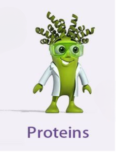 فروش پروتئین های کمپانی biorbyt توسط شرکت یاس ژن