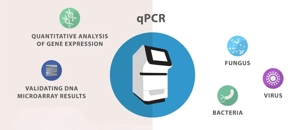 خرید دستگاهای های RealTime PCR شرکت یاس ژن دستگاه ریل تایم