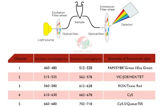 شرکت یاس ژن کوثر تامین کننده انواع دستگاه realtime pcr