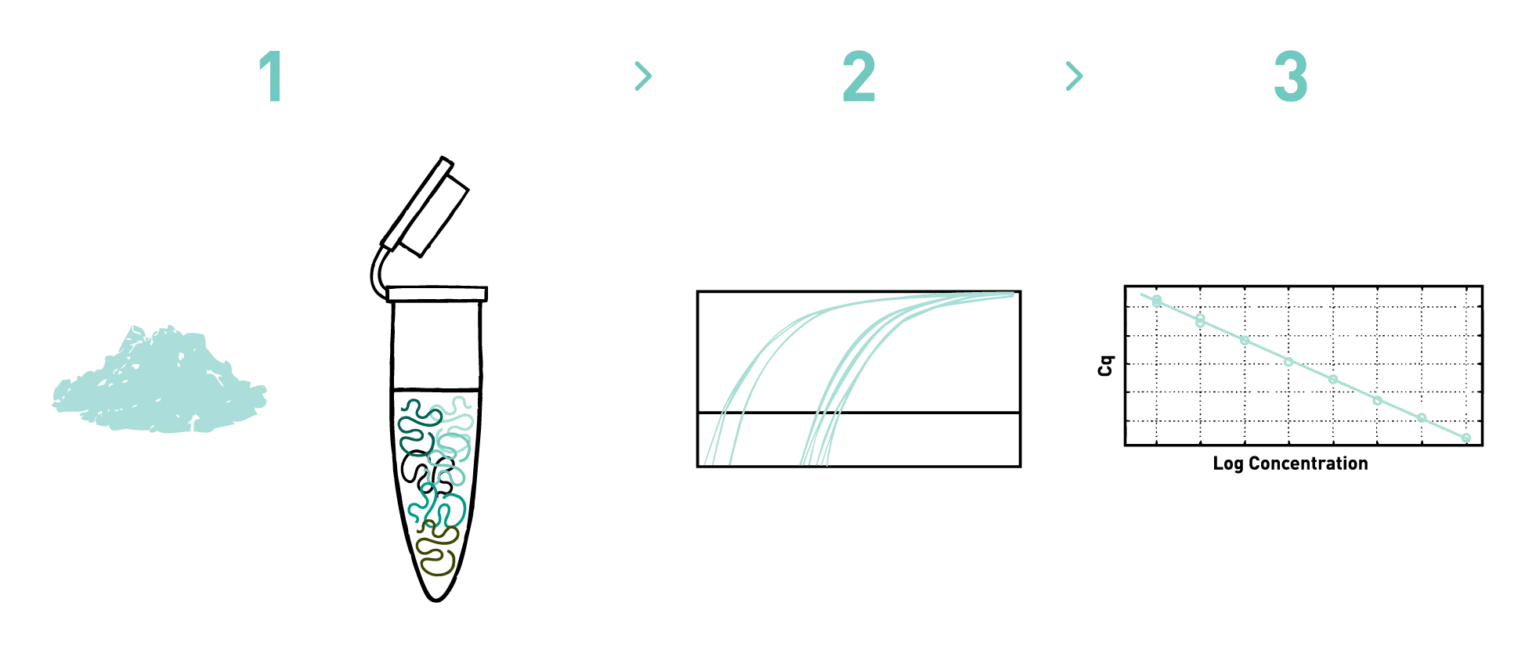 دستگاه RealTime PCR و دستگاه ریل تایم