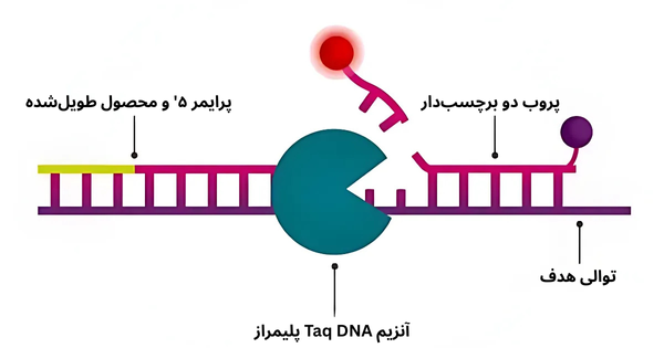 شرکت یاس ژن وارد کننده انواع دستگاه ریل تایم