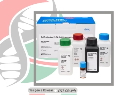 کیت تست رشد سلول BrdU ، Cell Proliferation ELISA, BrdU (colorimetric)