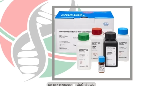 کیت تست رشد سلول BrdU ، Cell Proliferation ELISA, BrdU (colorimetric)