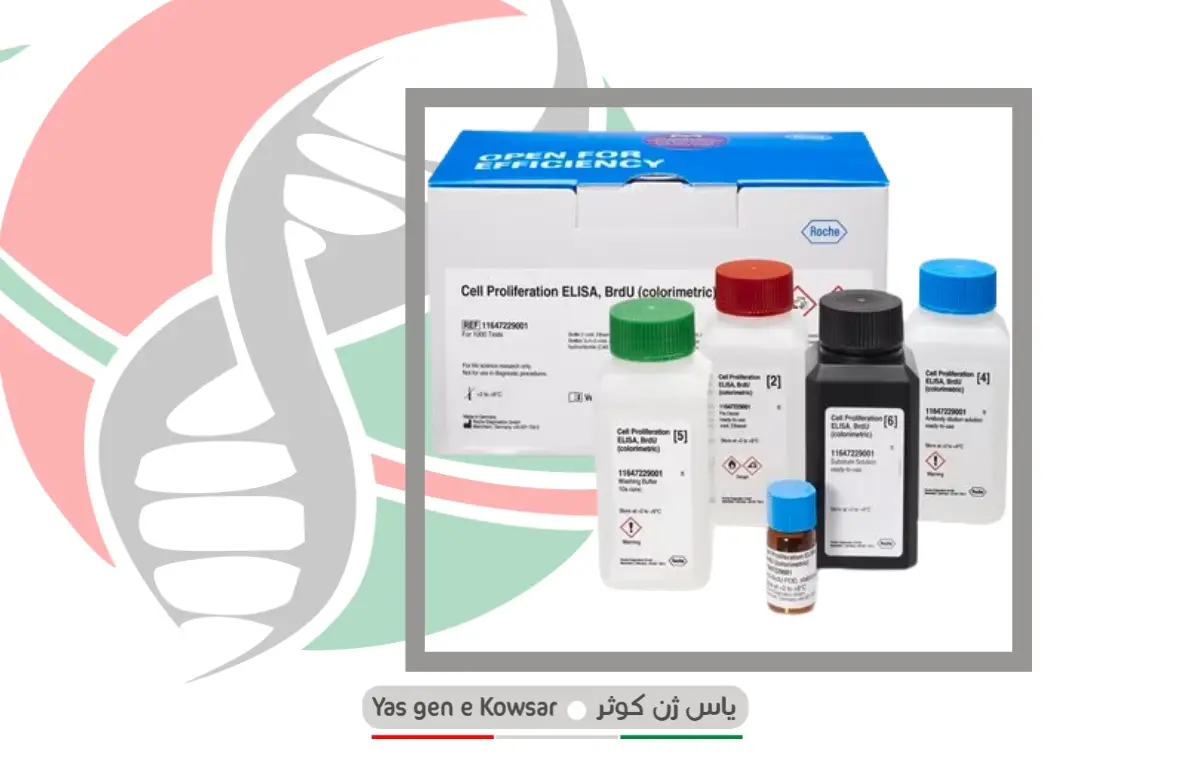 کیت تست رشد سلول BrdU ، Cell Proliferation ELISA, BrdU (colorimetric)