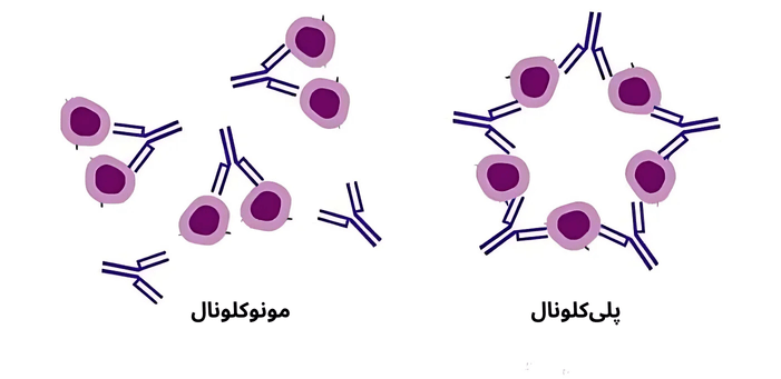 آنتی بادی شرکت یاس ژن