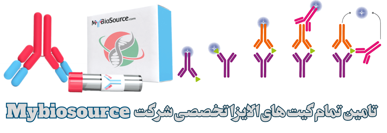 شرکت یاس ژن کوثر نماینده رسمی شرکت Mybiosource در ایران