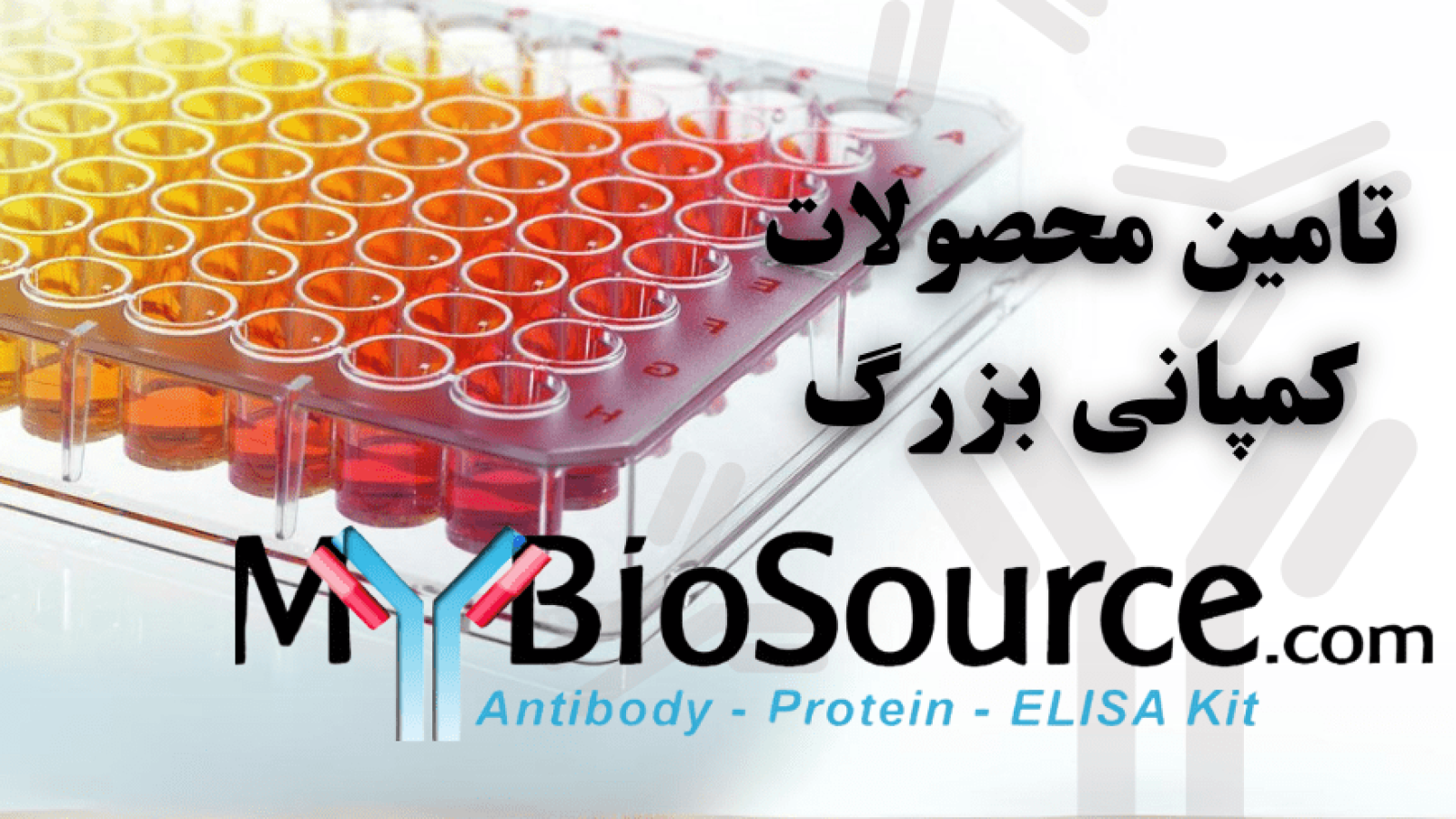 شرکت یاس ژن نمایندگی کمپانی Mybiosource در ایران