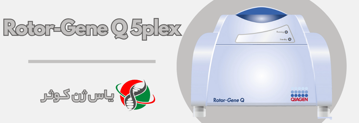 ریل تایم Rotor-Gene Q فروش شرکت یاس ژن