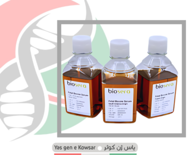 سرم جنین گاوی (FBS) شرکت یاس ژن کوثر