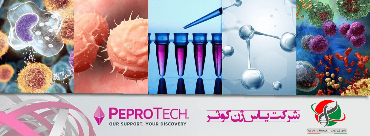 شرکت یاس ژن کوثر نمایندگی رسمی کمپانی کمپانی Peprotech