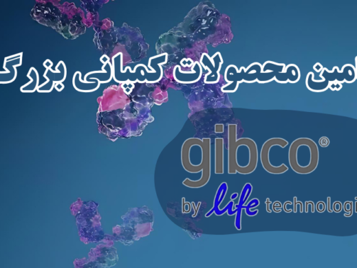 شرکت یاس ژن کوثر نمایندگی رسمی کمپانی کمپانی Gibco