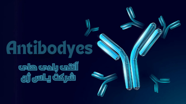 آنتی بادی های شرکت یاس ژن