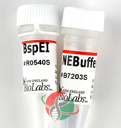 آنزیم‌های برشی و محدودکننده: کلید ویرایش DNA شرکت یاس ژن