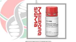 کلاژناز (Collagenase) شرکت یاس ژن