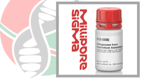 کلاژناز (Collagenase) شرکت یاس ژن