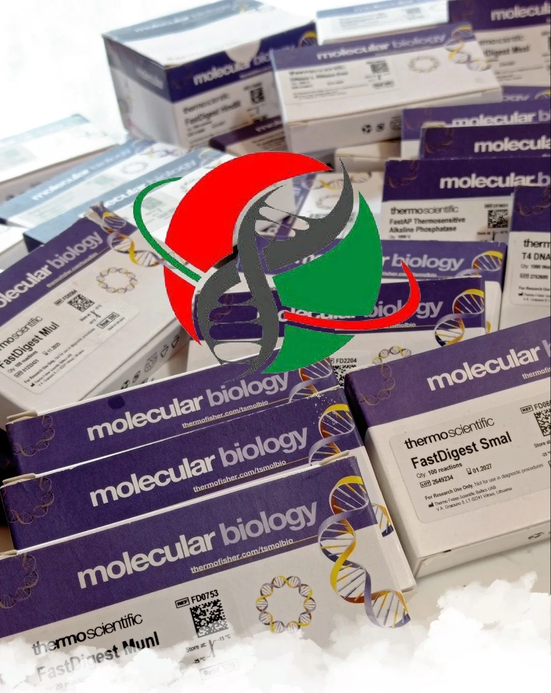 آنزیم‌های برشی و محدودکننده: کلید ویرایش DNA شرکت یاس ژن