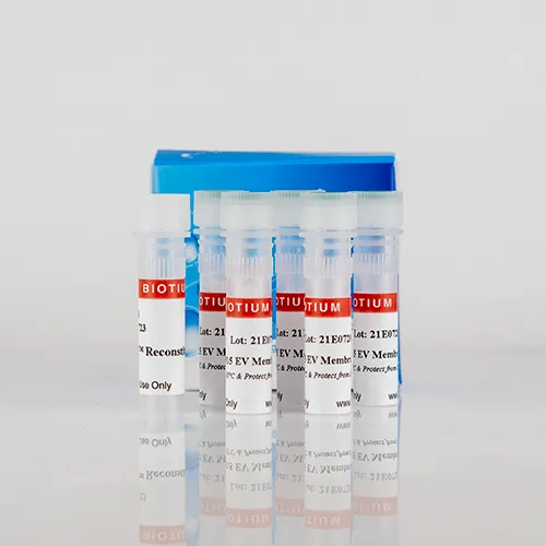 6. Antibodies & Secondary Reagents Biotium آنتیبادیهای اولیه و ثانویه کونژوگه با CF® Dyes تولید میکند. این محصولات برای افزایش دقت در تصویربرداری فلورسانس استفاده میشوند و نسبت سیگنال به نویز بالایی ارائه میدهند. 7. Instruments & Devices تجهیزات جانبی مانند PMA-Lite™ 2.0 برای فعالسازی نوری ترکیبات در qPCR و Glo-Plate™ 2.0 برای انکوباسیون کنترلشده نمونهها، از جمله ابزارهایی هستند که Biotium برای سهولت در انجام آزمایشها طراحی کرده است. 8. Custom Services خدمات تخصصی مانند کونژوگاسیون سفارشی آنتیبادی و طراحی پروبهای اختصاصی نیز بخشی از خدمات Biotium است که به پژوهشگران امکان میدهد محصولات متناسب با نیازشان سفارش دهند.