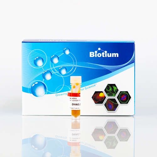 6. Antibodies & Secondary Reagents Biotium آنتیبادیهای اولیه و ثانویه کونژوگه با CF® Dyes تولید میکند. این محصولات برای افزایش دقت در تصویربرداری فلورسانس استفاده میشوند و نسبت سیگنال به نویز بالایی ارائه میدهند. 7. Instruments & Devices تجهیزات جانبی مانند PMA-Lite™ 2.0 برای فعالسازی نوری ترکیبات در qPCR و Glo-Plate™ 2.0 برای انکوباسیون کنترلشده نمونهها، از جمله ابزارهایی هستند که Biotium برای سهولت در انجام آزمایشها طراحی کرده است. 8. Custom Services خدمات تخصصی مانند کونژوگاسیون سفارشی آنتیبادی و طراحی پروبهای اختصاصی نیز بخشی از خدمات Biotium است که به پژوهشگران امکان میدهد محصولات متناسب با نیازشان سفارش دهند.