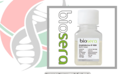 Amphotericin B در شرکت یاس ژن